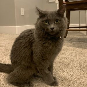 Meet your Posher, Colin